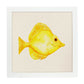 Poster cuadrado con dibujos de peces. Lámina Pez felicidad, ilustrada con dibujos de peces y animales del mar.-Artwork-Nacnic-25x25 cm-Marco Blanco-Nacnic Estudio SL