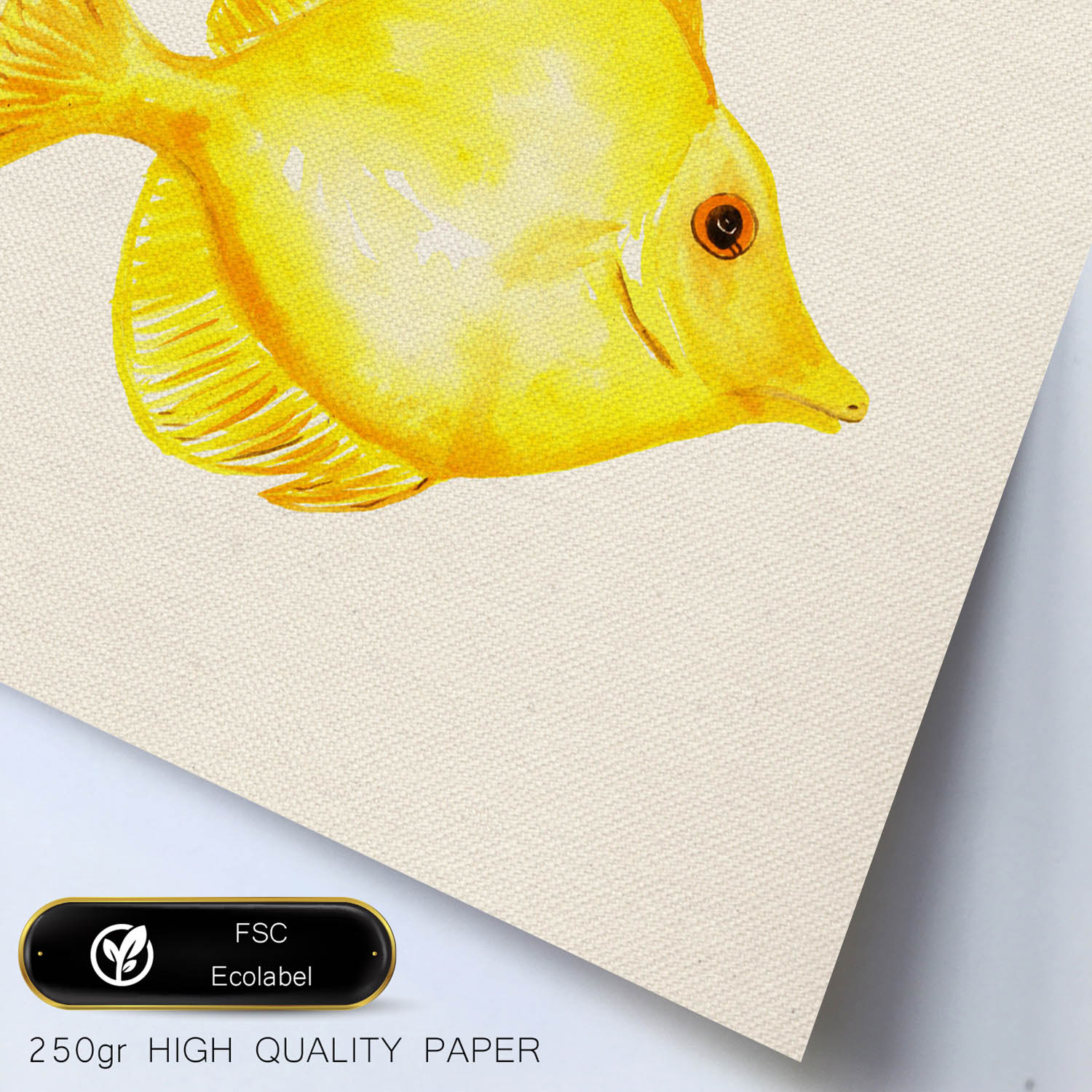 Poster cuadrado con dibujos de peces. Lámina Pez felicidad, ilustrada con dibujos de peces y animales del mar.-Artwork-Nacnic-Nacnic Estudio SL
