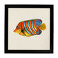 Poster cuadrado con dibujos de peces. Lámina Pez solitario, ilustrada con dibujos de peces y animales del mar.-Artwork-Nacnic-20x20 cm-Marco Negro-Nacnic Estudio SL