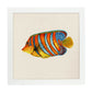 Poster cuadrado con dibujos de peces. Lámina Pez solitario, ilustrada con dibujos de peces y animales del mar.-Artwork-Nacnic-25x25 cm-Marco Blanco-Nacnic Estudio SL