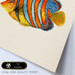 Poster cuadrado con dibujos de peces. Lámina Pez solitario, ilustrada con dibujos de peces y animales del mar.-Artwork-Nacnic-Nacnic Estudio SL