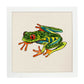Poster cuadrado con dibujos de ranas y tortugas. Lámina Ranita saltarina, ilustrada con dibujos de tortugas, ranas, y sapos.-Artwork-Nacnic-20x20 cm-Marco Blanco-Nacnic Estudio SL