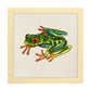 Poster cuadrado con dibujos de ranas y tortugas. Lámina Ranita saltarina, ilustrada con dibujos de tortugas, ranas, y sapos.-Artwork-Nacnic-25x25 cm-Marco Madera clara-Nacnic Estudio SL