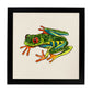 Poster cuadrado con dibujos de ranas y tortugas. Lámina Ranita saltarina, ilustrada con dibujos de tortugas, ranas, y sapos.-Artwork-Nacnic-25x25 cm-Marco Negro-Nacnic Estudio SL