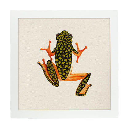 Poster cuadrado con dibujos de ranas y tortugas. Lámina Salta conmigo, ilustrada con dibujos de tortugas, ranas, y sapos.-Artwork-Nacnic-20x20 cm-Marco Blanco-Nacnic Estudio SL