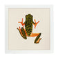 Poster cuadrado con dibujos de ranas y tortugas. Lámina Salta conmigo, ilustrada con dibujos de tortugas, ranas, y sapos.-Artwork-Nacnic-25x25 cm-Marco Blanco-Nacnic Estudio SL