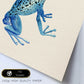 Poster cuadrado con dibujos de ranas y tortugas. Lámina Soy tu principe, ilustrada con dibujos de tortugas, ranas, y sapos.-Artwork-Nacnic-Nacnic Estudio SL