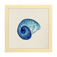 Poster cuadrado con dibujos del mar. Lámina Concha azulada, ilustrada con dibujos del mar y el océano.-Artwork-Nacnic-25x25 cm-Marco Madera clara-Nacnic Estudio SL