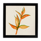 Poster cuadrado de Naranja eres tú. Lámina de frutas y verduras de forma cuadrada, ilustrada con dibujos a color.-Artwork-Nacnic-25x25 cm-Marco Negro-Nacnic Estudio SL