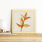 Poster cuadrado de Naranja eres tú. Lámina de frutas y verduras de forma cuadrada, ilustrada con dibujos a color.-Artwork-Nacnic-Nacnic Estudio SL