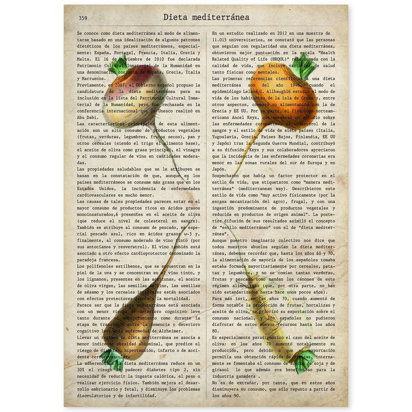 Poster de 4 rabanos. Láminas de frutas y verduras con definiciones. Ilustraciones de alimentacion vegetariana.-Artwork-Nacnic-A4-Sin marco-Nacnic Estudio SL