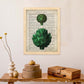 Poster de Alcachofas. Láminas de frutas y verduras con definiciones. Ilustraciones de alimentacion vegetariana.-Artwork-Nacnic-Nacnic Estudio SL