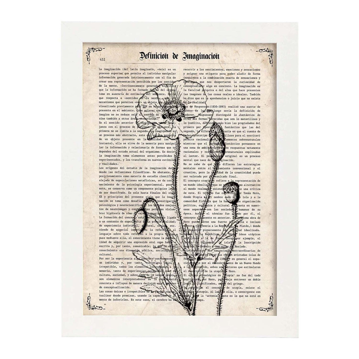 Poster de Amapola blanco y negro. Láminas de flores diseñadas con estilo antiguo. Diseño de botánica y plantas.-Artwork-Nacnic-Nacnic Estudio SL
