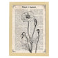 Poster de Amapola blanco y negro. Láminas de flores diseñadas con estilo antiguo. Diseño de botánica y plantas.-Artwork-Nacnic-A3-Marco Madera clara-Nacnic Estudio SL