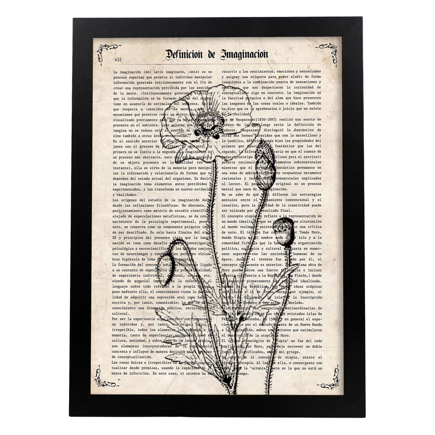Poster de Amapola blanco y negro. Láminas de flores diseñadas con estilo antiguo. Diseño de botánica y plantas.-Artwork-Nacnic-A3-Marco Negro-Nacnic Estudio SL