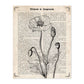 Poster de Amapola blanco y negro. Láminas de flores diseñadas con estilo antiguo. Diseño de botánica y plantas.-Artwork-Nacnic-A4-Sin marco-Nacnic Estudio SL