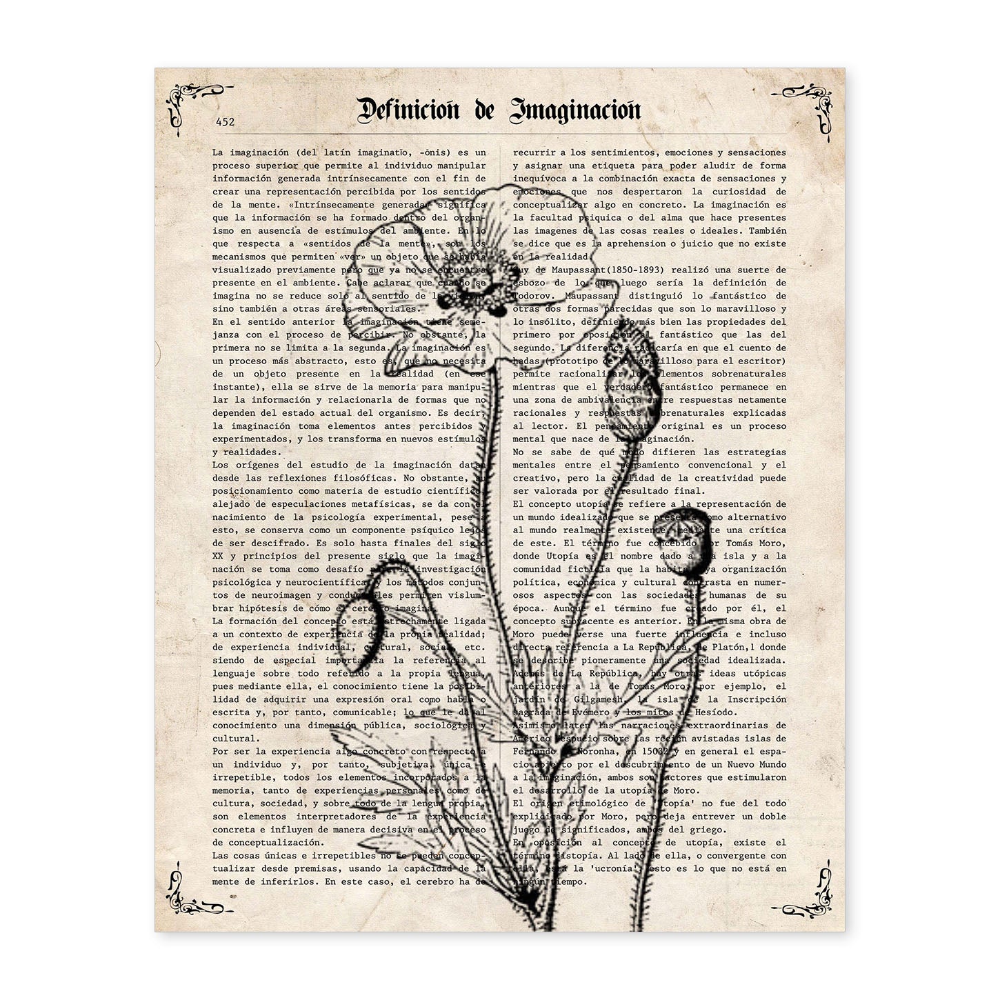 Poster de Amapola blanco y negro. Láminas de flores diseñadas con estilo antiguo. Diseño de botánica y plantas.-Artwork-Nacnic-A4-Sin marco-Nacnic Estudio SL