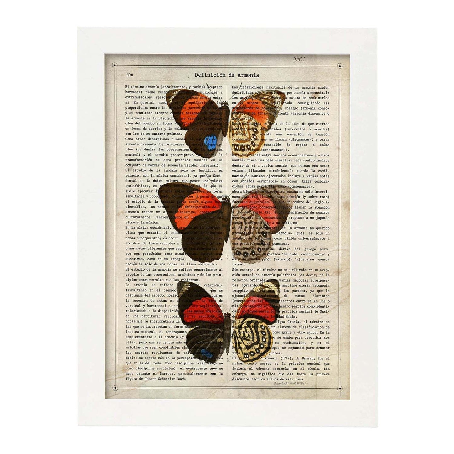 Poster de Biblis hyperia. Láminas de mariposas. Decoración de mariposas y polillas.-Artwork-Nacnic-A3-Marco Blanco-Nacnic Estudio SL