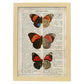 Poster de Biblis hyperia. Láminas de mariposas. Decoración de mariposas y polillas.-Artwork-Nacnic-A3-Marco Madera clara-Nacnic Estudio SL