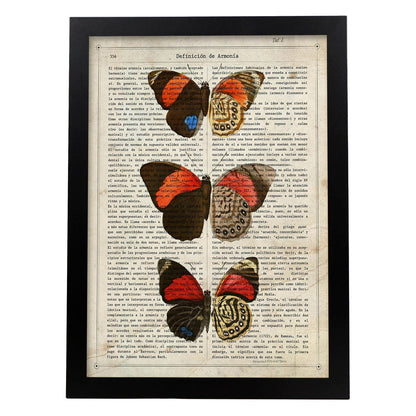 Poster de Biblis hyperia. Láminas de mariposas. Decoración de mariposas y polillas.-Artwork-Nacnic-A4-Marco Negro-Nacnic Estudio SL