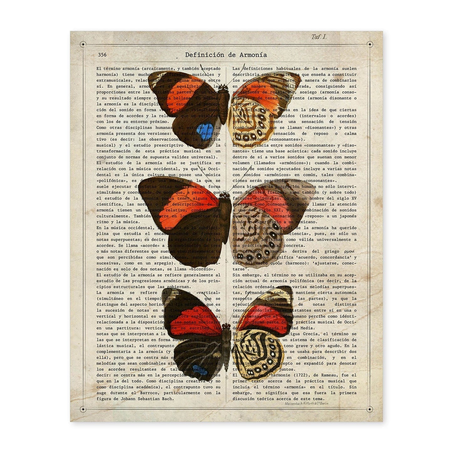 Poster de Biblis hyperia. Láminas de mariposas. Decoración de mariposas y polillas.-Artwork-Nacnic-A4-Sin marco-Nacnic Estudio SL