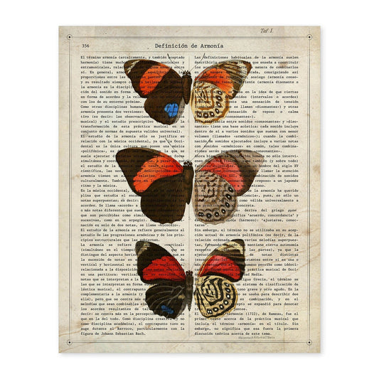Poster de Biblis hyperia. Láminas de mariposas. Decoración de mariposas y polillas.-Artwork-Nacnic-A4-Sin marco-Nacnic Estudio SL