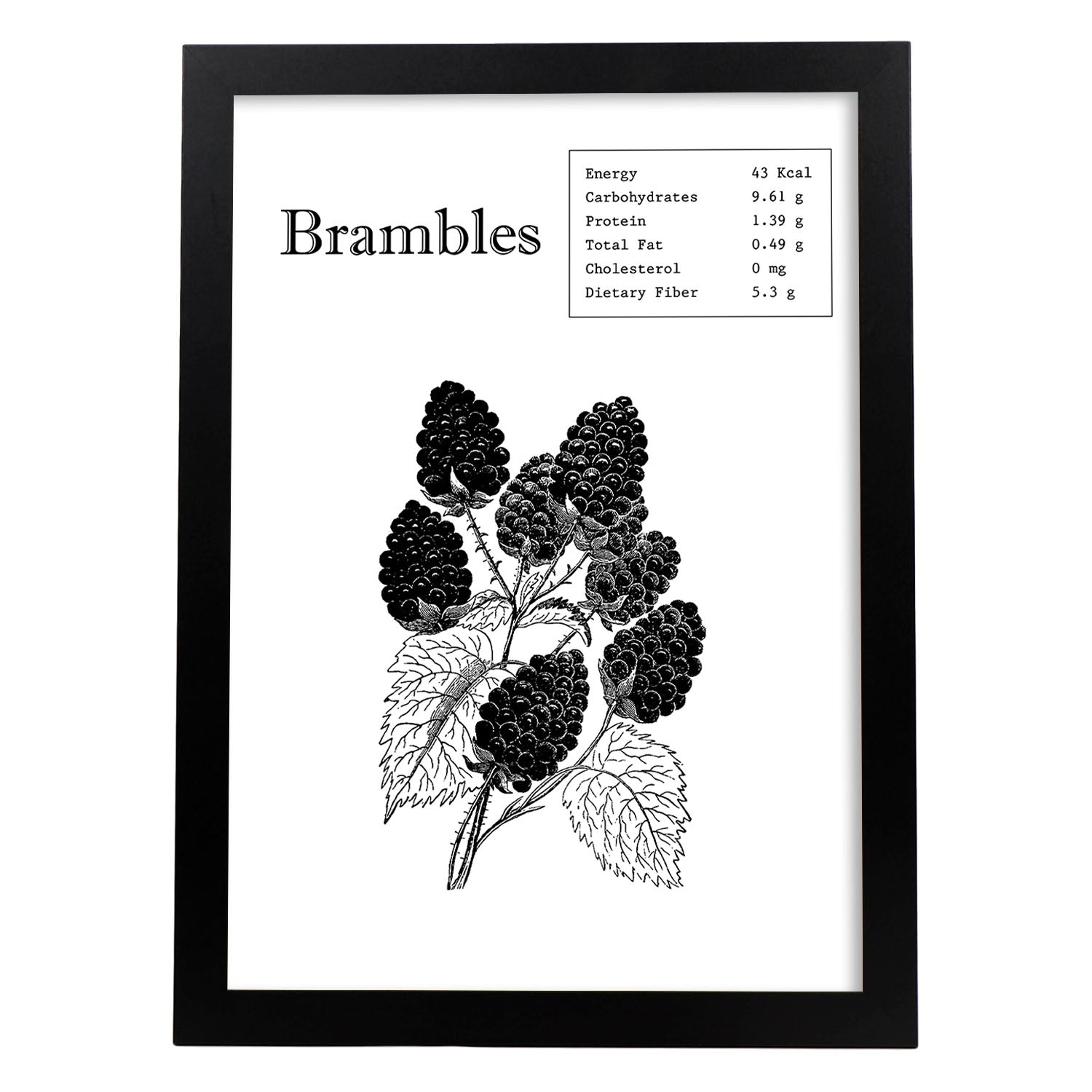 Poster de Brambles. Láminas de frutas y verduras en inglés.-Artwork-Nacnic-A3-Marco Negro-Nacnic Estudio SL