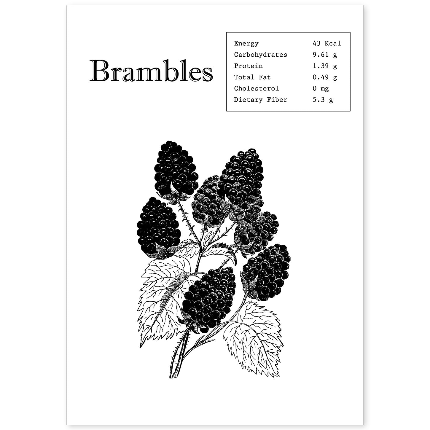 Poster de Brambles. Láminas de frutas y verduras en inglés.-Artwork-Nacnic-A4-Sin marco-Nacnic Estudio SL