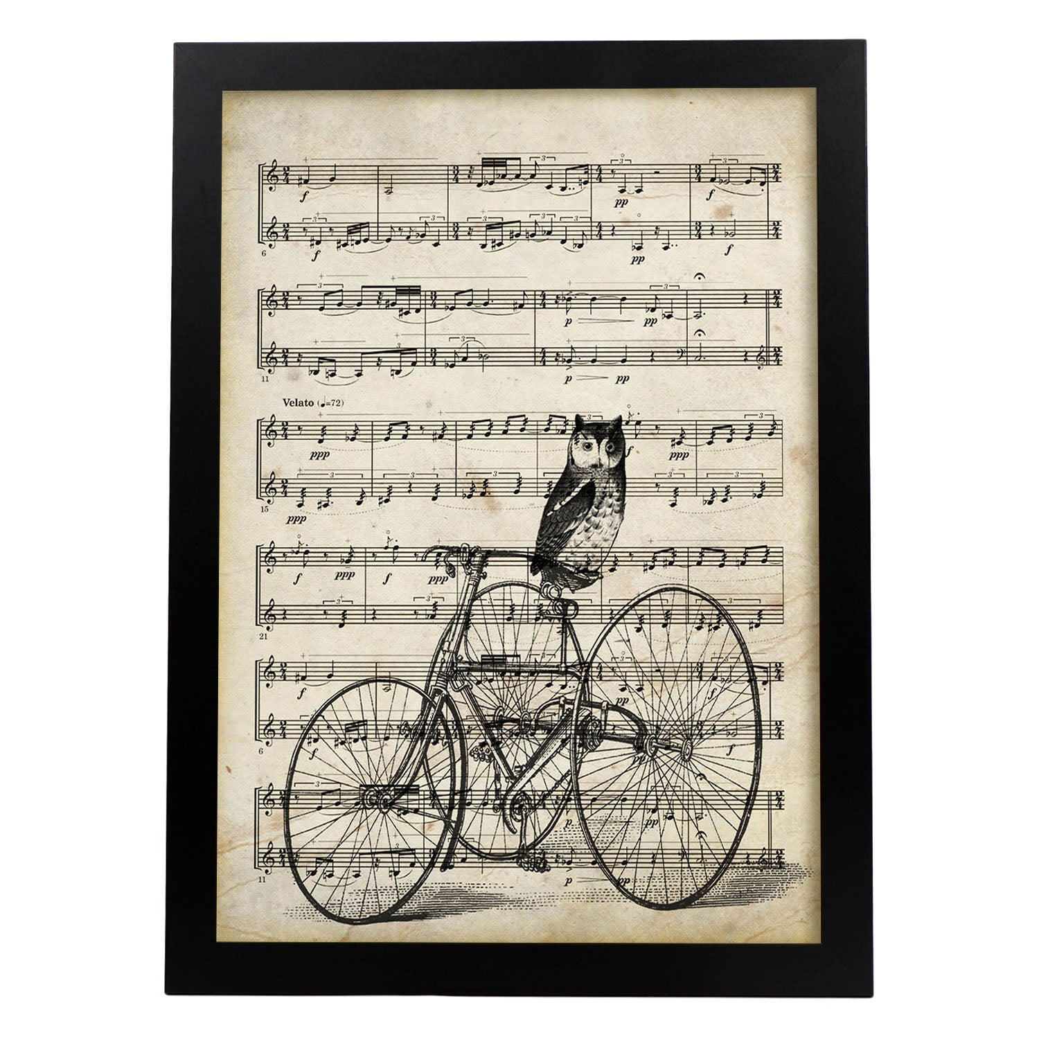 Poster de Buho en bicicleta sobre partitura. Láminas de imágenes con partituras. Diseño de música para el hogar.-Artwork-Nacnic-A3-Marco Negro-Nacnic Estudio SL