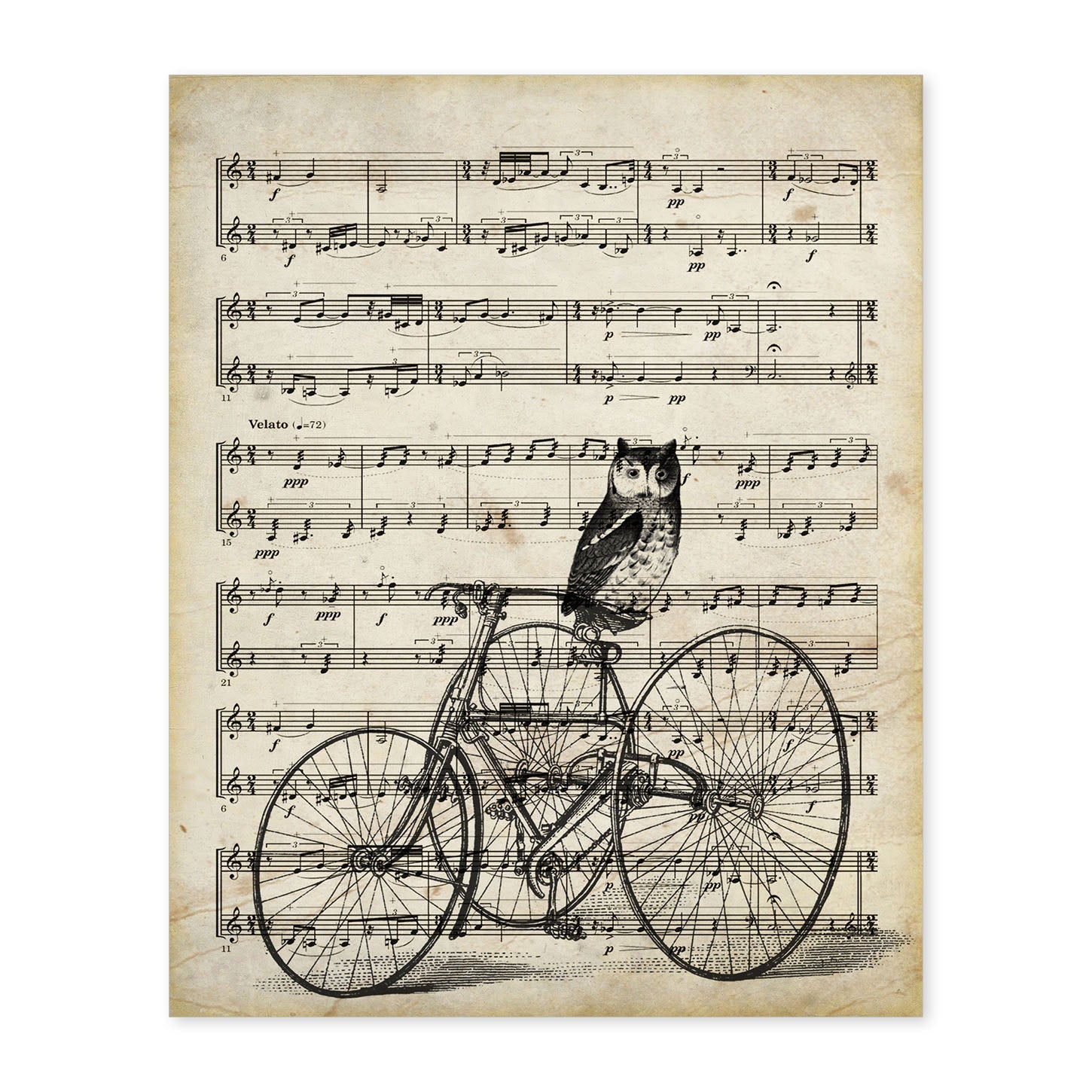 Poster de Buho en bicicleta sobre partitura. Láminas de imágenes con partituras. Diseño de música para el hogar.-Artwork-Nacnic-A4-Sin marco-Nacnic Estudio SL