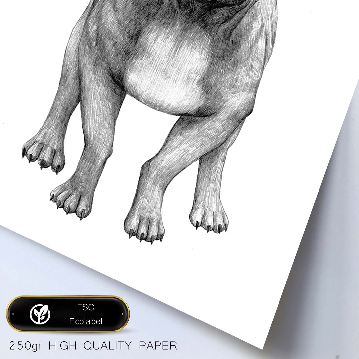 Poster de Bulldog blanco. Lámina decorativa de perros.-Artwork-Nacnic-Nacnic Estudio SL