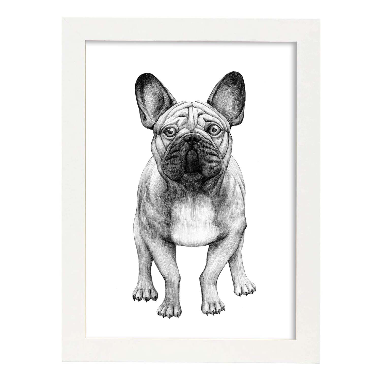 Poster de Bulldog blanco. Lámina decorativa de perros.-Artwork-Nacnic-A3-Marco Blanco-Nacnic Estudio SL
