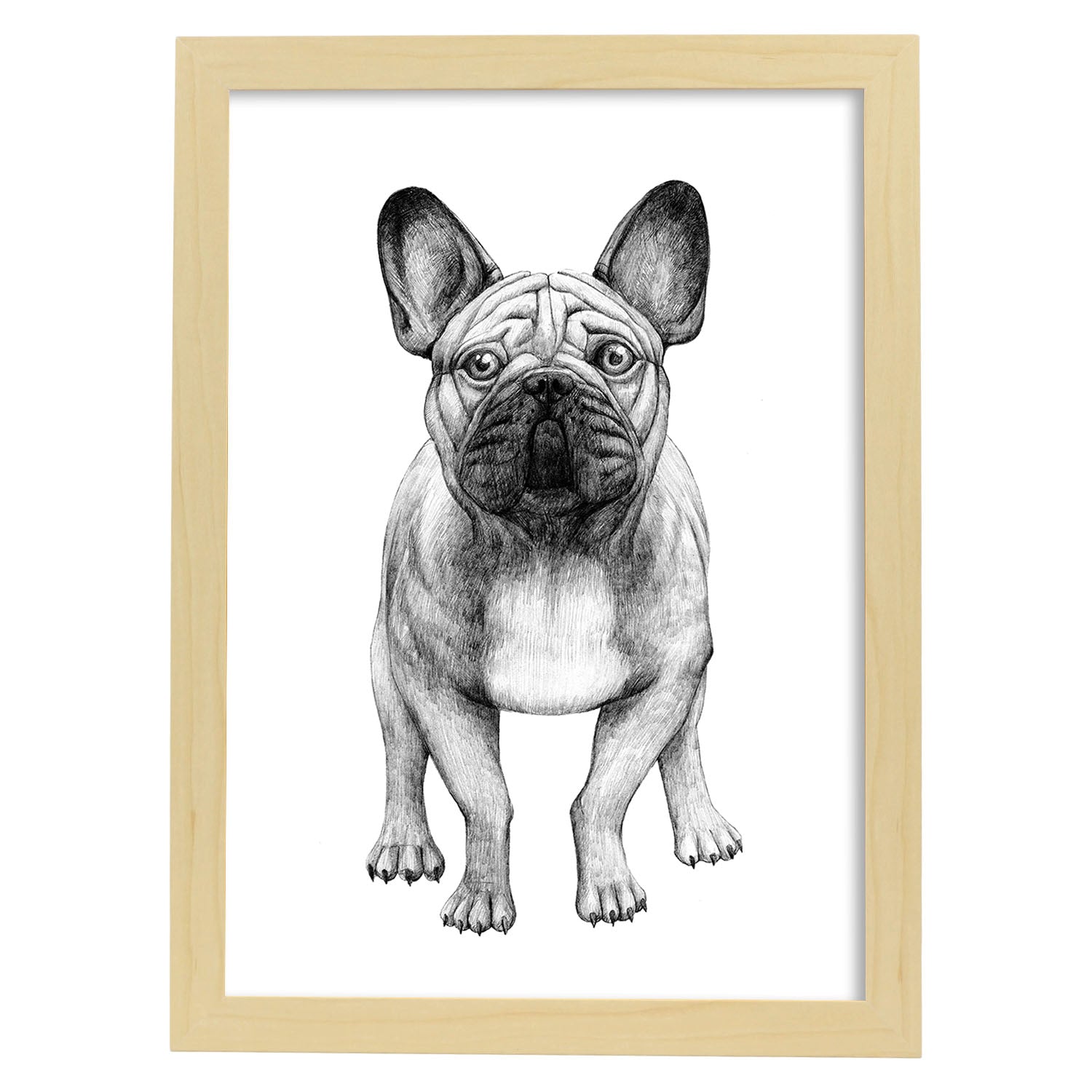 Poster de Bulldog blanco. Lámina decorativa de perros.-Artwork-Nacnic-A4-Marco Madera clara-Nacnic Estudio SL