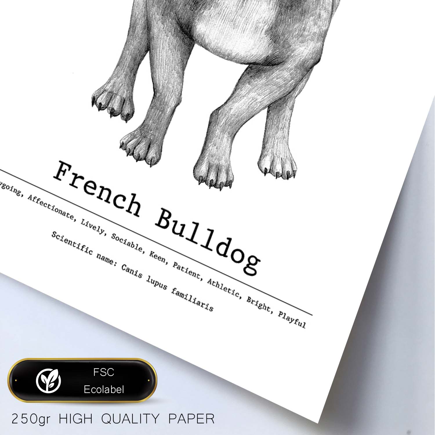 Poster de Bulldog con texto. Lámina decorativa de perros.-Artwork-Nacnic-Nacnic Estudio SL