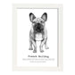 Poster de Bulldog con texto. Lámina decorativa de perros.-Artwork-Nacnic-A3-Marco Blanco-Nacnic Estudio SL