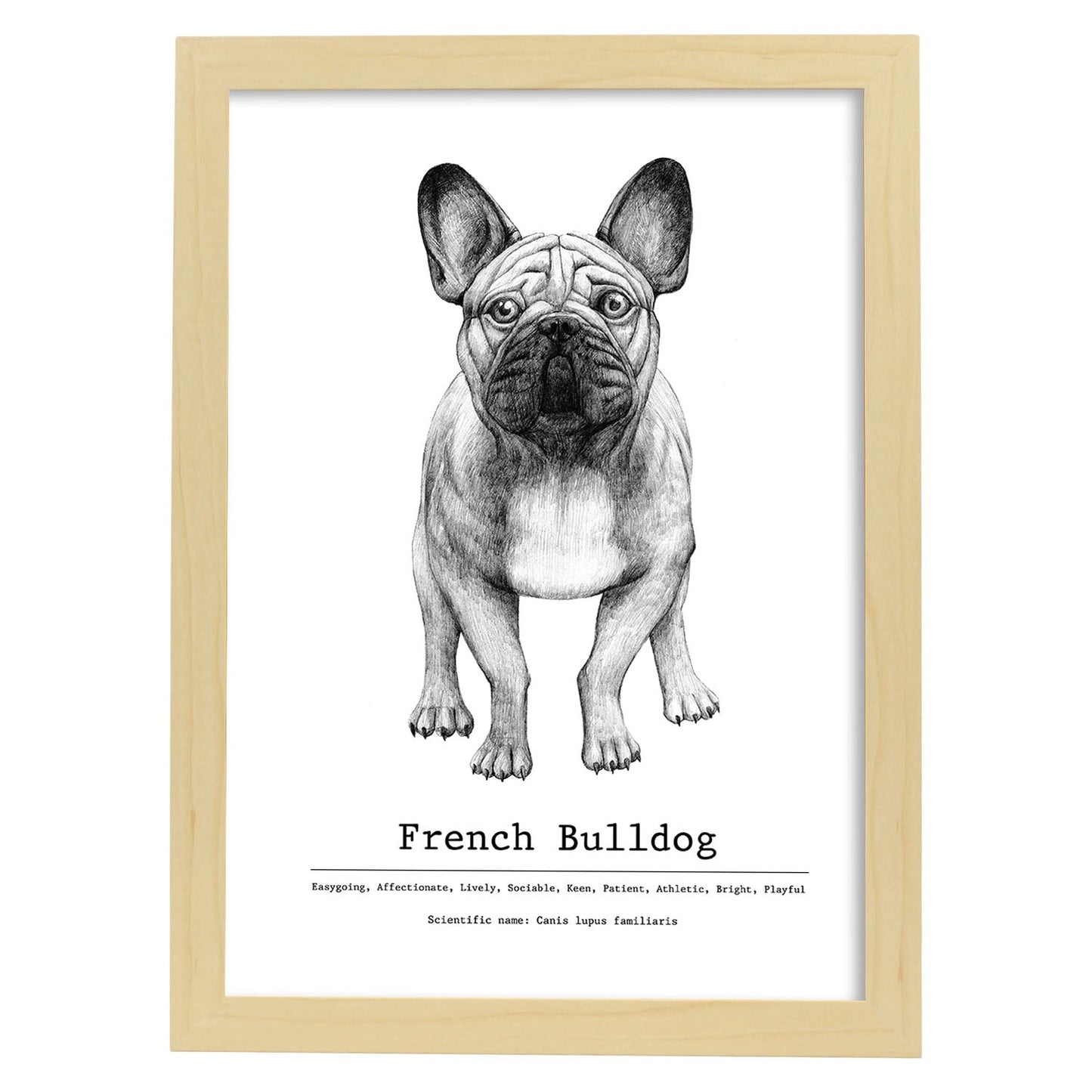 Poster de Bulldog con texto. Lámina decorativa de perros.-Artwork-Nacnic-A3-Marco Madera clara-Nacnic Estudio SL