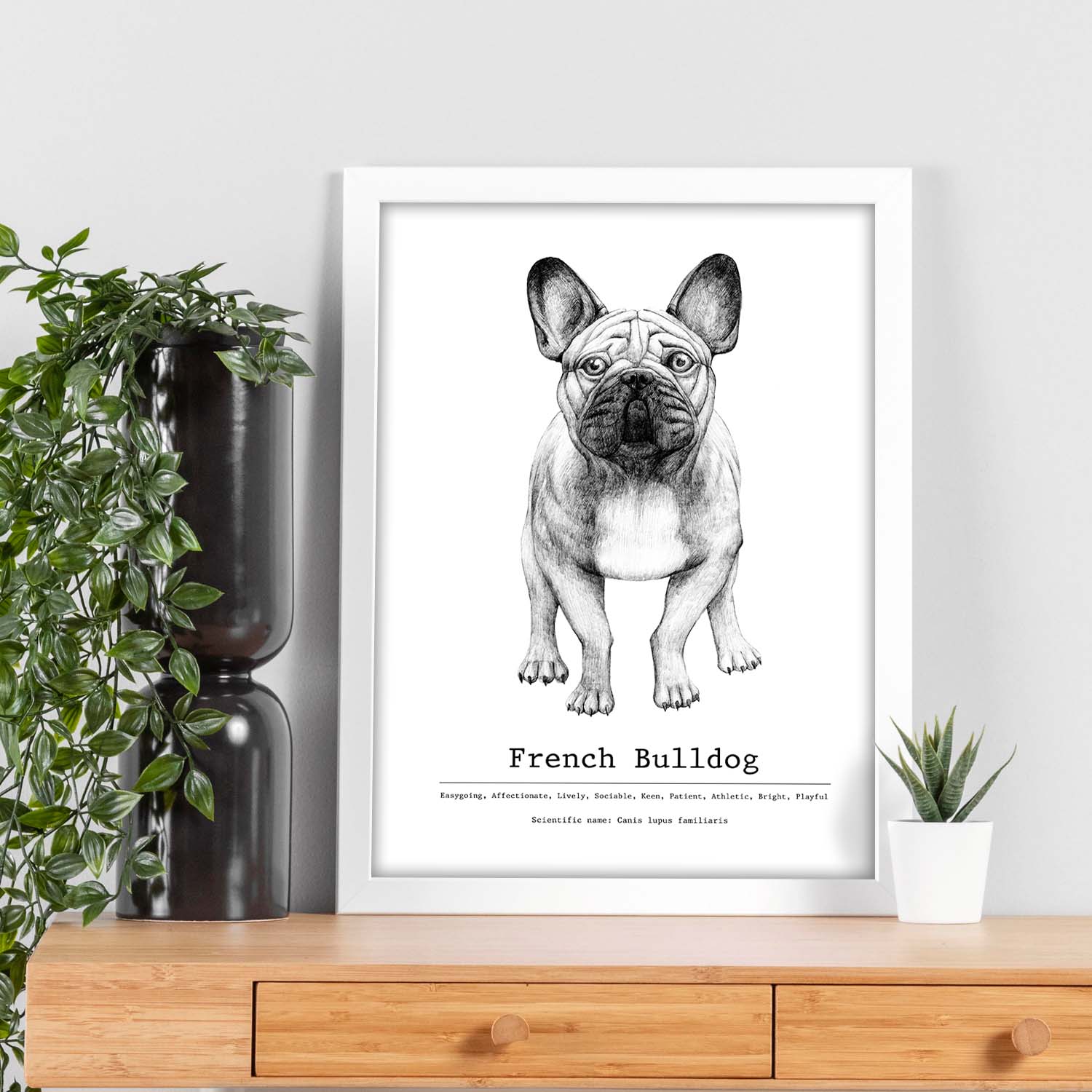 Poster de Bulldog con texto. Lámina decorativa de perros.-Artwork-Nacnic-Nacnic Estudio SL