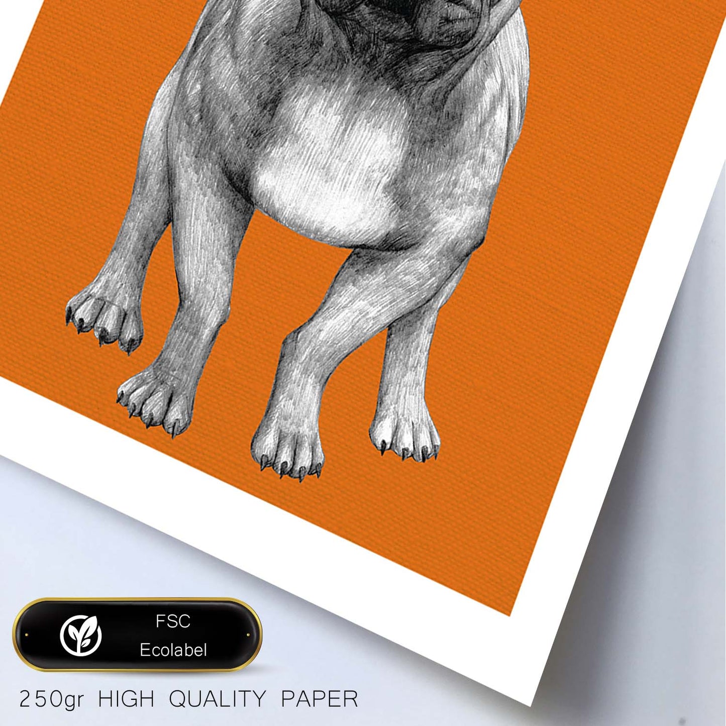 Poster de Bulldog. Lámina decorativa de perros.-Artwork-Nacnic-Nacnic Estudio SL
