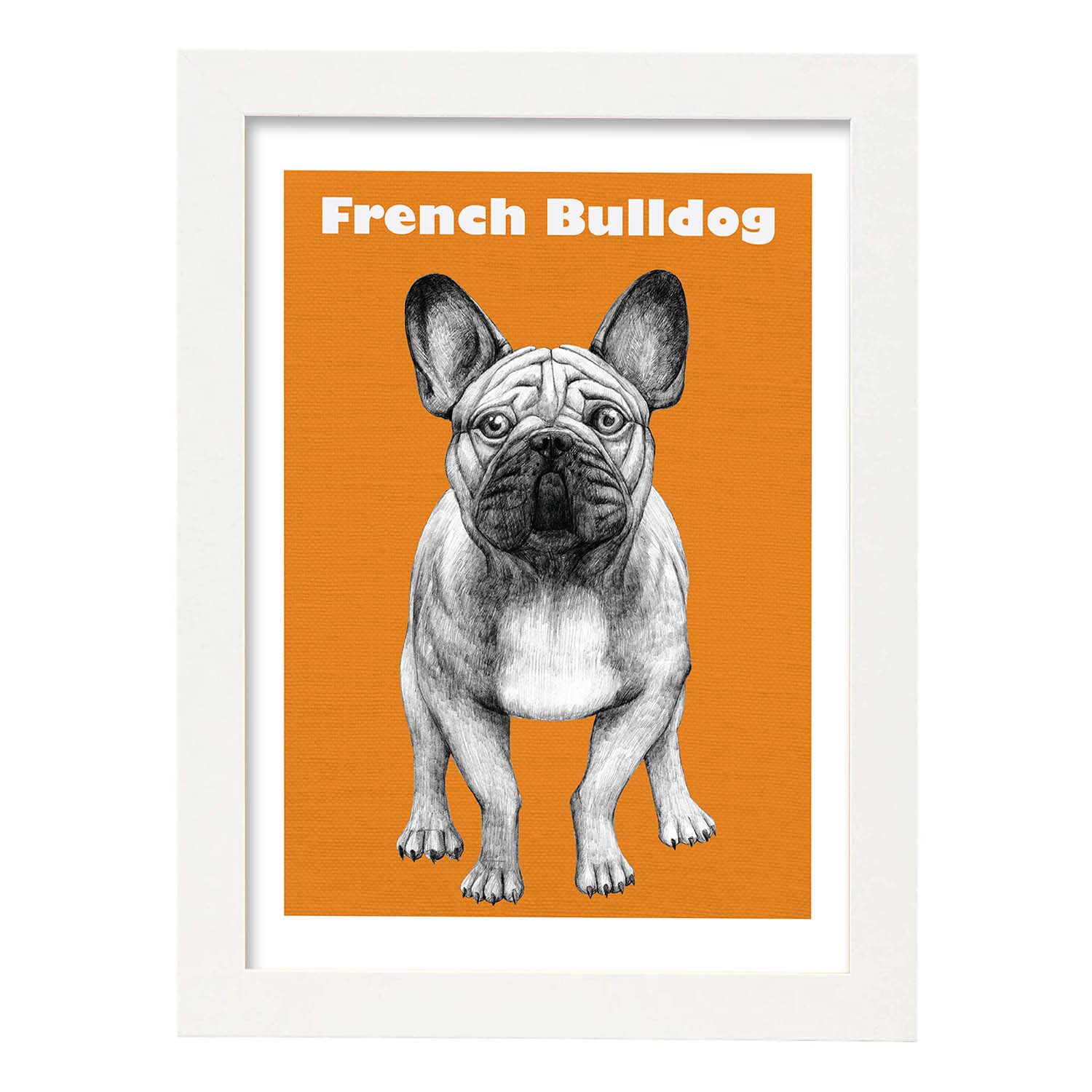 Poster de Bulldog. Lámina decorativa de perros.-Artwork-Nacnic-A3-Marco Blanco-Nacnic Estudio SL