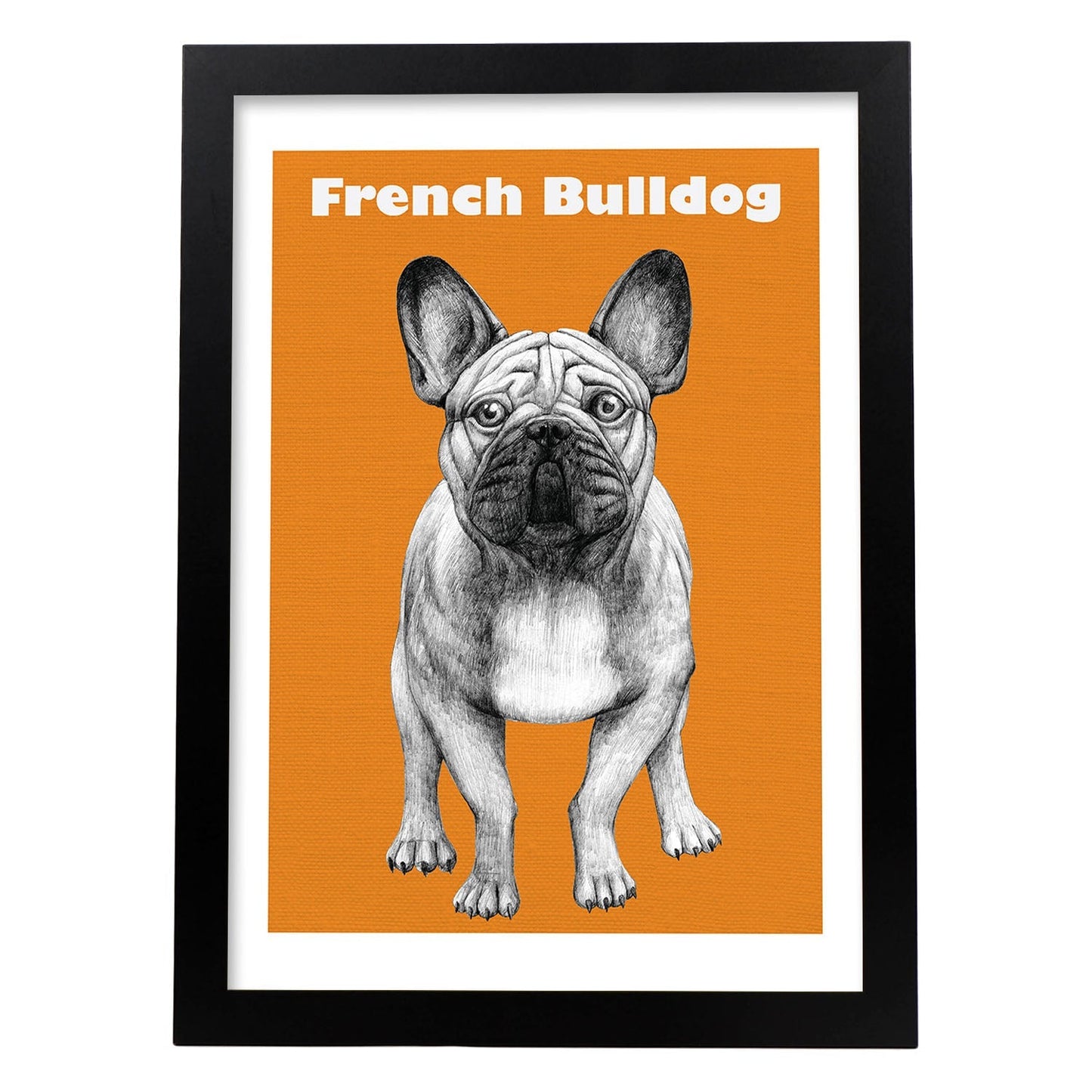 Poster de Bulldog. Lámina decorativa de perros.-Artwork-Nacnic-A3-Marco Negro-Nacnic Estudio SL