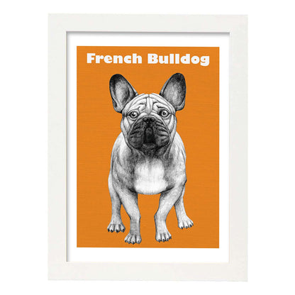 Poster de Bulldog. Lámina decorativa de perros.-Artwork-Nacnic-A4-Marco Blanco-Nacnic Estudio SL