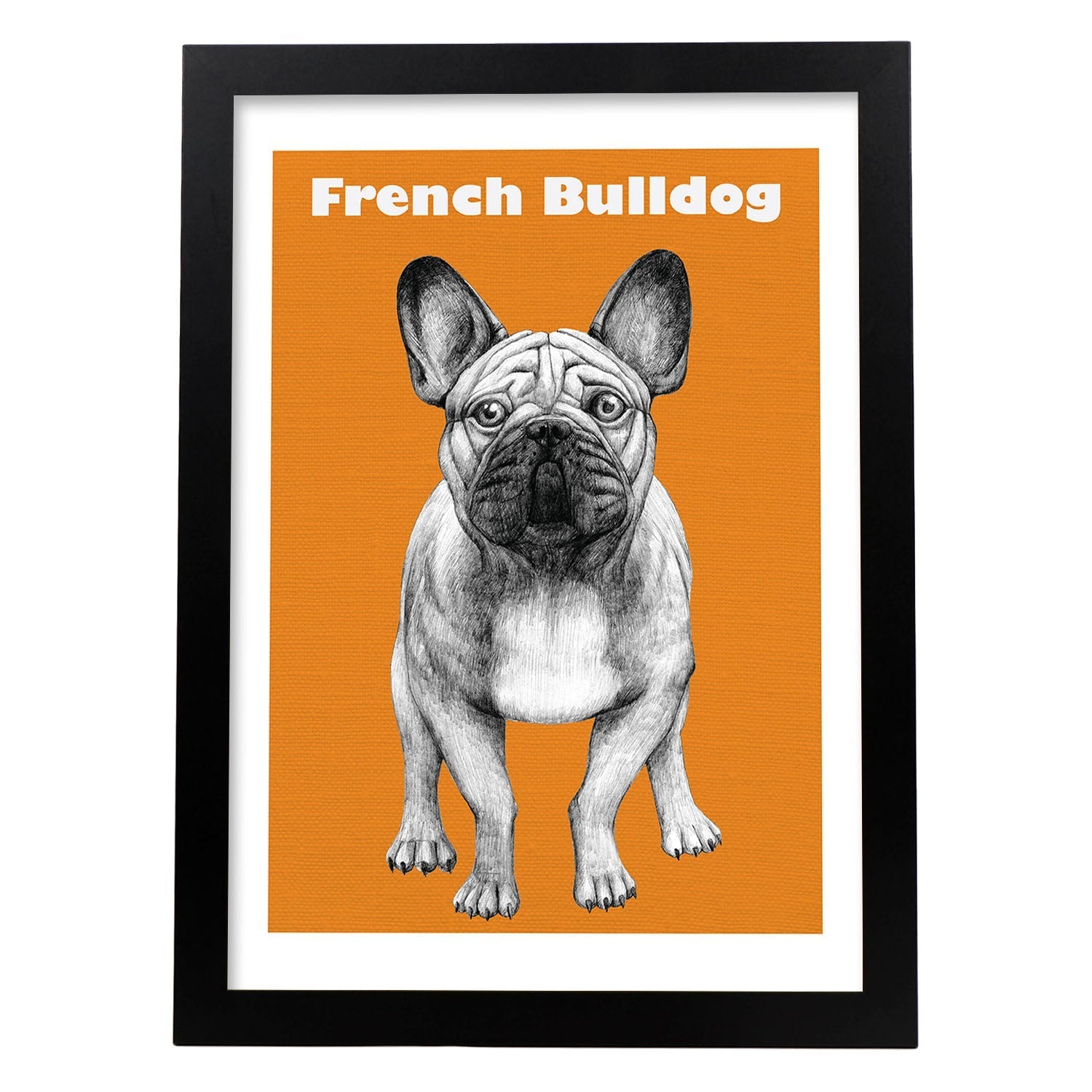 Poster de Bulldog. Lámina decorativa de perros.-Artwork-Nacnic-A4-Marco Negro-Nacnic Estudio SL
