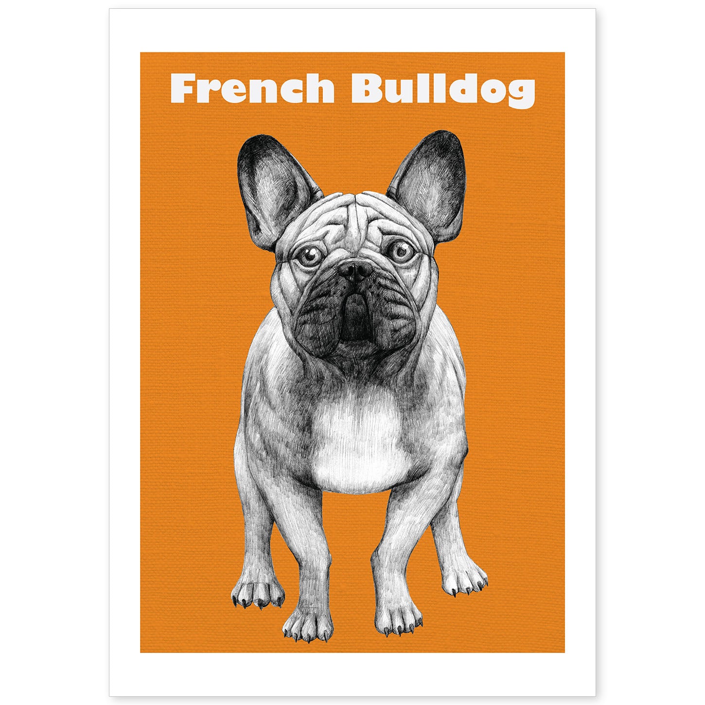 Poster de Bulldog. Lámina decorativa de perros.-Artwork-Nacnic-A4-Sin marco-Nacnic Estudio SL