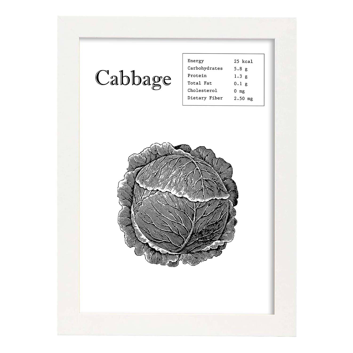 Poster de Cabbage. Láminas de frutas y verduras en inglés.-Artwork-Nacnic-A4-Marco Blanco-Nacnic Estudio SL