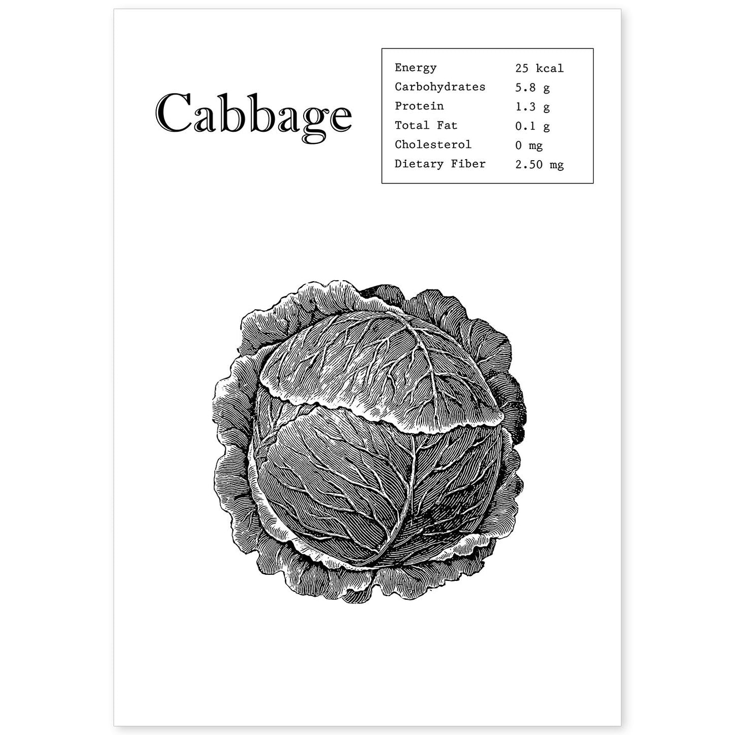 Poster de Cabbage. Láminas de frutas y verduras en inglés.-Artwork-Nacnic-A4-Sin marco-Nacnic Estudio SL