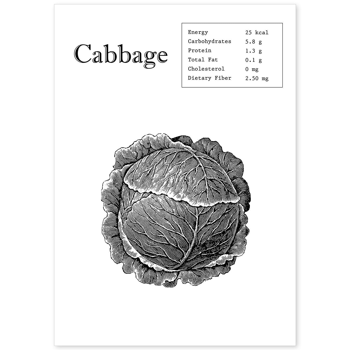 Poster de Cabbage. Láminas de frutas y verduras en inglés.-Artwork-Nacnic-A4-Sin marco-Nacnic Estudio SL