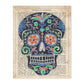 Poster de Calavera mexicana negra. Láminas de calaveras. Decoración de hogar.-Artwork-Nacnic-A4-Sin marco-Nacnic Estudio SL