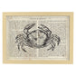 Poster de Cangrejo Vintage con definición. Láminas de animales con texto y definición. Diseño de interiores basado en animales.-Artwork-Nacnic-A4-Marco Madera clara-Nacnic Estudio SL