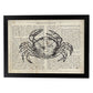 Poster de Cangrejo Vintage con definición. Láminas de animales con texto y definición. Diseño de interiores basado en animales.-Artwork-Nacnic-A4-Marco Negro-Nacnic Estudio SL