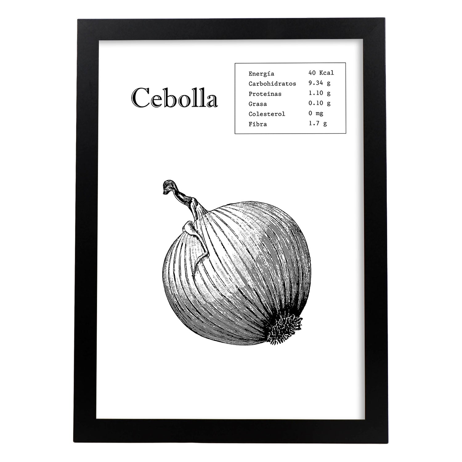 Poster de Cebolla. Láminas de frutas y verduras.-Artwork-Nacnic-A4-Marco Negro-Nacnic Estudio SL